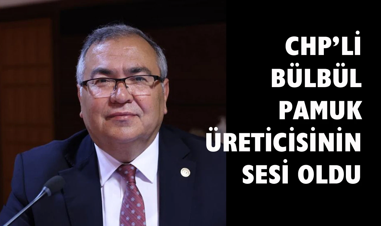 CHP’li Bülbül: “Stratejik ürün pamuğu ithalat lobisine teslim ettiniz”