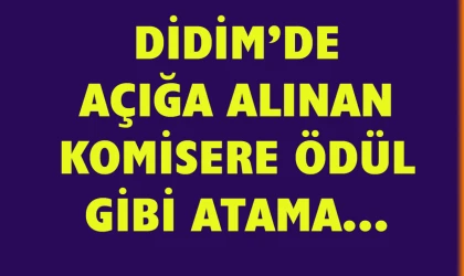 Önce açığa alındı sonra ödül gibi atama yapıldı