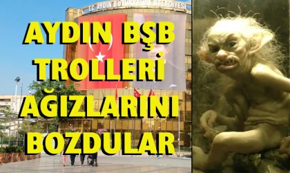 Aydın BŞB beslemesi trollerin işleri güçleri sövmek