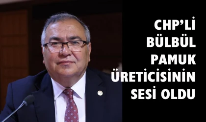CHP’li Bülbül: “Stratejik ürün pamuğu ithalat lobisine teslim ettiniz”